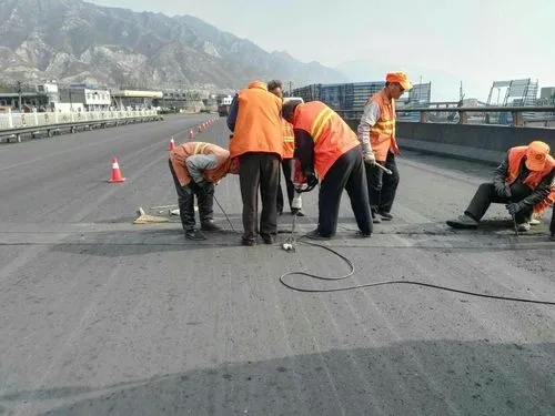 玛多道路桥梁病害治理